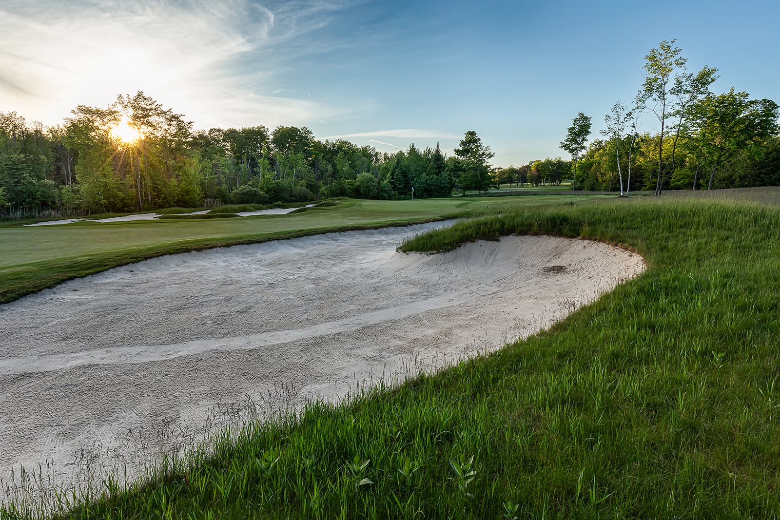 sand bunker and golf green at sunset with trees and natural grass