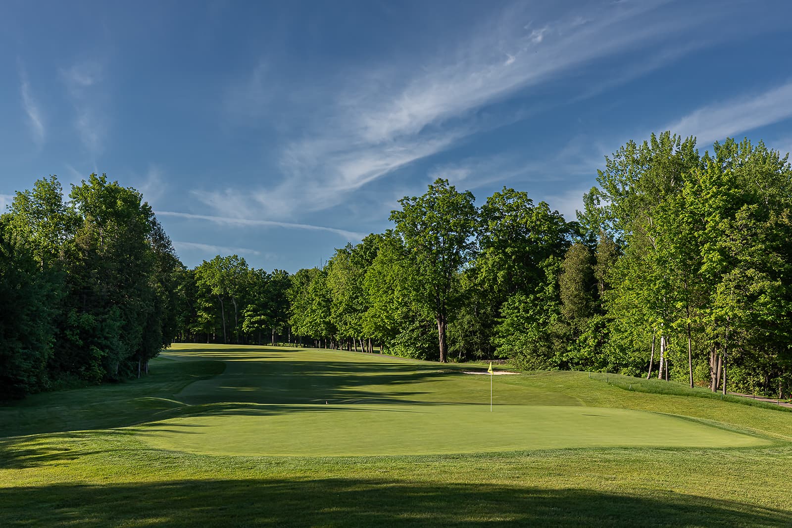 golf course green with flagstick and tree-lined fairway under blue sky