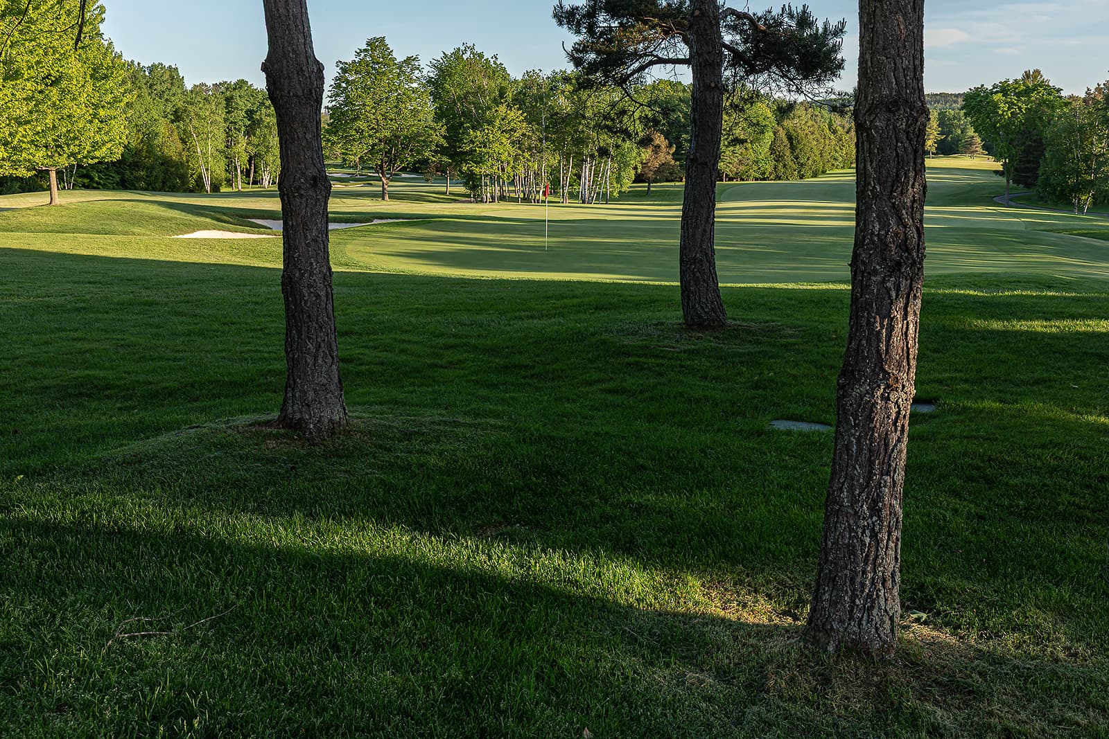 framed view of golf course green through trees with sand trap and flagstick