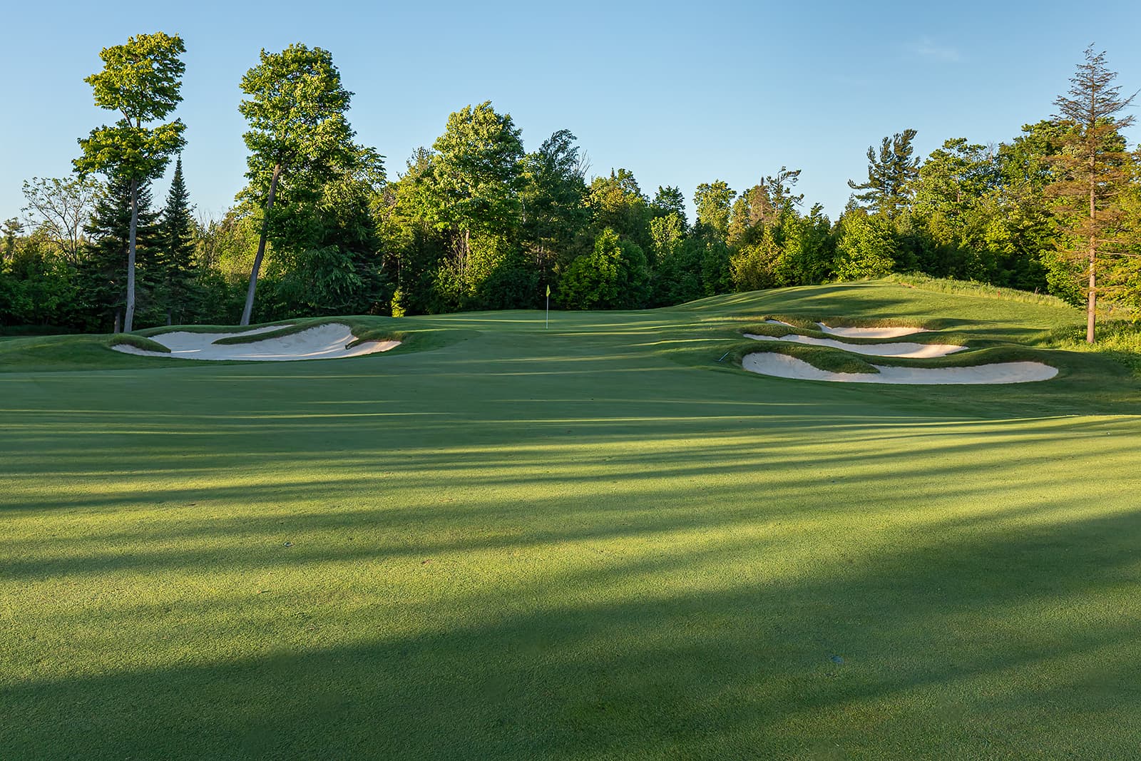 golf course green with sand bunkers and forest backdrop at sunset
