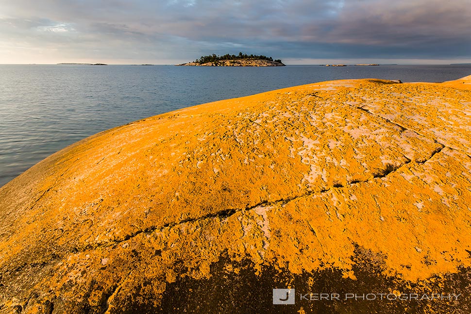 Yellow Lichen on The Foxes