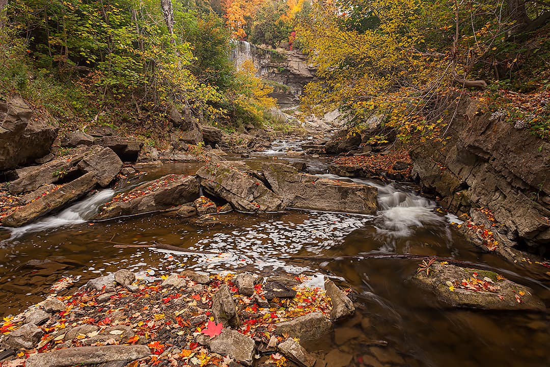 Websters Falls in Hamilton