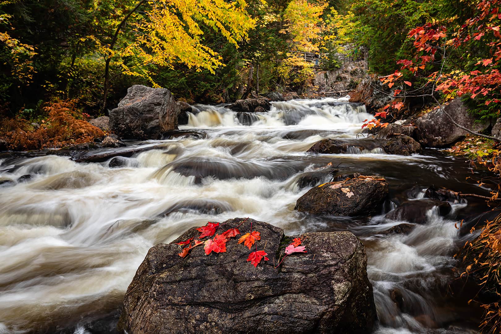 Crystal Creek waterfall, red maple leaves, autumn colour
