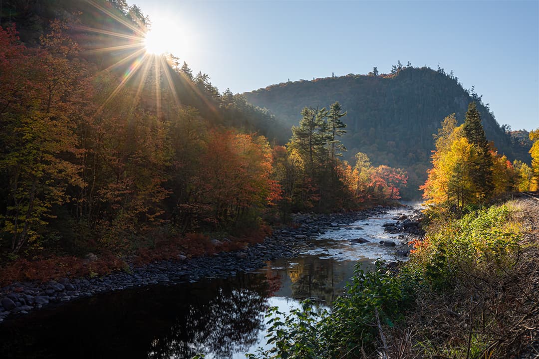 Morning sunlight bursts through the treetops, illuminating Agawa Canyon on a beautiful autumn day.