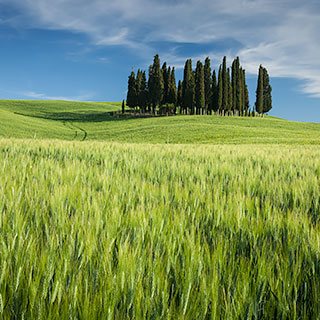 Italy