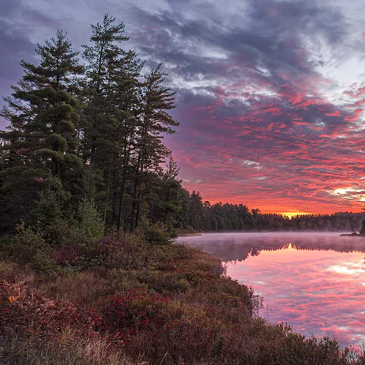 Algonquin Park